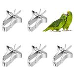 5 PCS Bird Fruit Feeder Cuttlefish Clip Bird Vegetable Holder Clip Stainless Steel Bird Feeder Bird Foraging Toy Cage Accessories For Bird Hamster Cockatiel Parrot Small Animals