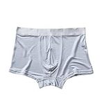 LSHARON SILK Men's 100% Mulberry Silk Boxer Underwear Briefs Panties (Silver, L)