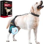 Dollephi Dog Knee Brace for Torn AC