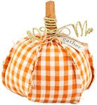 Mud Pie Woven Pumpkin Sitter, Small, 9.5" x 8"