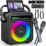 Karaoke Machine with 2 Wireless Mic