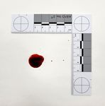 Crime Scene Photomacrographic Scales (No.2-Metric)