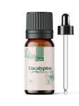 Rayflo 100% Pure Organic Eucalyptus Essential Oil - Therapeutic Grade 15ml - For Hair Growth | Skin | Scalp | Cold | Aromatherapy & Diffusers - With Glass Dropper- Nilgiri tel.