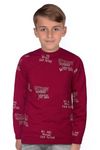 Allen Solly Junior Boys Polycotton Crew Neck Regular Fit Red Sweatshirt 9-10 Years