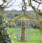 Smart Garden Chapel Wood Ultra Squirrel Proof Guard Wild Bird Seed Feeder with hanger