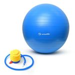 Wiselife Gym Ball,Physical Therapy Yoga Ball for Home,Excercise Ball for Stability,Workout Fitness, Anti-Burst, Slip Resistant Balance Chair for Office, Swiss with Air Pump (Blue, 65 cm)