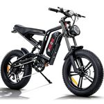 Windone E2 Electric Bike for Adults - 1000W Peak 20" Fat Tire Electric Dirt Ebike, Up to 45KM/H, 75KM Range, 48V 13Ah Removable Battery, Moped Style All-Terrain E Bike for Commuting & Off-Road