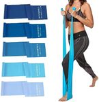 Lianjindun 5 Pcs Professional Resistance Bands. Latex-Free, Elastic Band, Work Out Bands, Stretch Bands for Working Out Women or Men, Exercise Bands Set for Physical Therapy, Yoga, Pilates