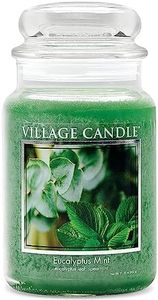 Village Candle Eucalyptus Mint Large Glass Apothecary Jar Scented Candle, 21.25 oz, Green