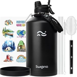 Swigina 1 