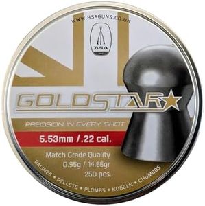 BSA Guns BSA Goldstar .22 (5.5mm) Premium Match Air Rifle Pellets x250