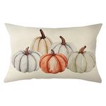 Ogiselestyle Watercolor Pumpkin Fall Throw Pillow Cover 12x20 Inch, Seasonal Autumn Pumpkin Thanksgiving Harvest Decoration for Home Sofa Couch