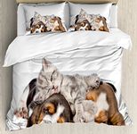 Funny Queen Size Duvet Cover Set by Ambesonne, Newborn Kitten Lying on the Puppies Basset Hound and Licks Sleeping Cuddle Picture, Decorative 3 Piece Bedding Set with 2 Pillow Shams, Multicolor