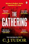 The Gathering: from the Sunday Times bestselling author of The Chalk Man and The Burning Girls