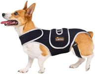 Dog Back Brace for Medium Dogs Corgi, Dog Back Brace for Slipped and Herniated Discs, Spinal Stability and Pain Relief L