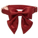 Lionet Paws Bowtie Dog Collar - Comfortable Silk Christmas Dog Collar with Detachable Bow Tie for Puppy and Cat, Neck 20-30cm