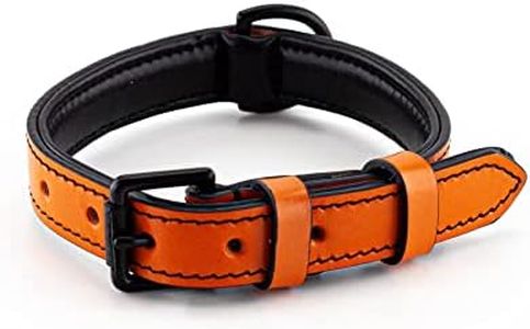 Brute Strength - Leather Dog Collar - Orange - M - Fits 14 3/16" and 16 15/16" Neck - Dog tag Ring - Full Grain Heavy Duty - Soft Padded - Handmade - Dog Collar for Medium Dogs