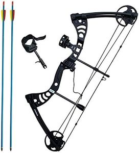 Southland Archery Supply SAS Scorpii 55 Lb 29" Compound Bow (Black Kit Package)