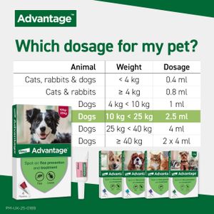 Advantage Flea Treatment for Large Dogs – Fast-Acting Spot-On Solution