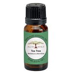 All Naturals 100% Pure Tea Tree Essential Oil (Australia) for Hair, Face, Acne Care | Undiluted & Therapeutic Grade - 15 ML