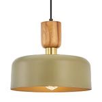 TeHenoo Contemporary Pendant Lighting,Large Pendant Lamp,Natural Wood and Brass Accent,Adjustable Cord Hanging Light Fixture for Kitchen, Dining Room, Green