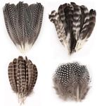 50 Pcs 4 Styles Natural Feathers fo