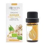 Essences Bulgaria Organic Ginger Essential Oil 0.17 Fl Oz 5ml Zingiber officinale - 100% Pure Natural Undiluted Therapeutic Grade Aromatherapy Oil for Diffuser Humidifier Lymphatic Drainage Massage