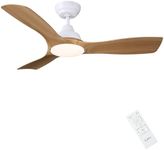 CJOY Ceiling Fans with Lights and R