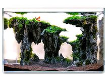 Allcolor Fish Tank Decor Rocks.Aquarium Decoration Model.Easy and Quick Solution for Aquascaping.(Cave of Gods)