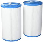 Smart Spa HSAK-4031-2 Hot Springs Freeflow Replacement Filter-303279, White/Blue, 2 Pack