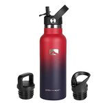 Polarscape Stainless Steel 500ml Insulated Water Bottle with Straw - Includes 3 Lids, 2 Straws, and Straw Brush - Narrow Mouth, Double-Walled, BPA Free, Leak Proof - 500ml Plum