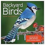 TF PUBLISHING 2024 Backyard Birds M