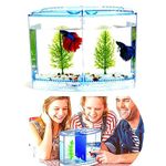 Aquariums For Betta Fish