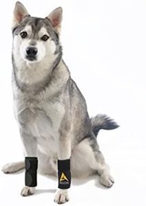 AGON (Pair) Dog Canine Front Leg Brace Paw Compression Wraps with Protects Wounds Brace Heals and Prevents Injuries and Sprains Helps with Loss of Stability Caused by Arthritis (Small/Medium)