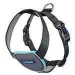 CarSafe Dog Travel Car Harness - from the makers of Halti. Safely Secure your Dog in the Car, Ensures Road Laws and Insurance Terms when Travelling with your Pet, for Toy, Small, Medium and Large Dogs