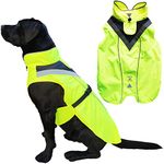 Dog Jacket With Harness Hole