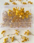 Blush Story Baby Breath/Gypsy Dried Artificial Flower Sticks For Women Wedding Bridal Hair Accessories (Yellow)