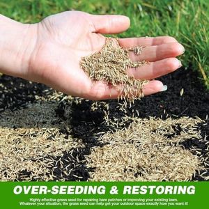GroundMaster Premium Lawn Grass Seed 1KG – Hard Wearing, Fast Germination, Pet-Friendly, Covers 60m²