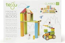 42 Piece Tegu Magnetic Wooden Block