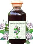 CALOTRO - AYURVEDIC Oil For Management Of Varicose Vein, Spider Vein | kadanje oil - 250ml