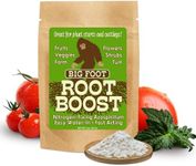 Big Foot Probiotic Root Boost Water Soluble Powder for Established Plants and Transplants - Grow Root Size, Increase Nitrogen, Grow New Plants from Cuttings, Pea Inoculant - 2 Ounces