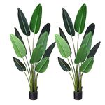 Fopamtri Artificial Bird of Paradise Plant 5 Feet Fake Palm Tree with 10 Trunks Faux Tree for Indoor Modern Decoration Feaux Plants in Pot for Home Office Perfect Housewarming Gift,2 Pack