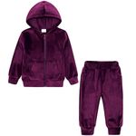 Girls Velour Hoodie Clothes Set Zipper Jogger 2 Pieces Outfits Kids Athletic Clothing Casual Basic Tracksuit Purple 4-5 Years