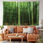 Bamboo Decor Tapestry, Picture of a Bamboo Forest Exotic Fresh Jungle Vision with Tall Shoots Tropic Wonderland, Wall Hanging for Bedroom Living Room Dorm, 60 W X 40 L Inches, Green