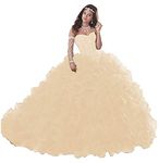 Wanshaqin Women's Heavy Beaded Sweetheart Ball Gowns Dresses Organza Ruffles Quinceanera Dresses for Sweet 16 Champagne