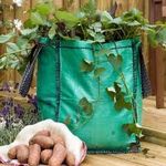 JBA Seed Potatoes 5 x Potato Planter Bags suitable for growing all Vegetables all year round 18"x12"x12" - A lightweight bag for moving around the garden - By Jamieson Brothers