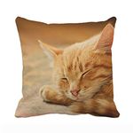UOOPOO Merry Throw Pillow Case Sleeping Orange Tabby Cat Pillow Cover 18 x 18 Inches Soft Cotton Canvas Home Decorative Cushion Cover for Sofa and Bed One Side Print