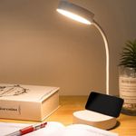 Quoizel Desk Lamps