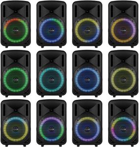 Fenton 15-Inch Bluetooth PA Speaker – Portable Wireless Audio System