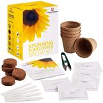 Stunning Sunflower Seed Growing Kit - Grow Your Own 5 Varieties of Contrasting Flowers in one Seed Grow Kit, A Perfect Gardeners Gift, Grow Your Own Flower Kit by Thompson & Morgan